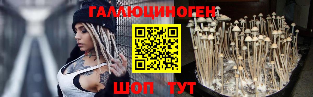 Псилоцибиновые грибы мухоморы Каспийск