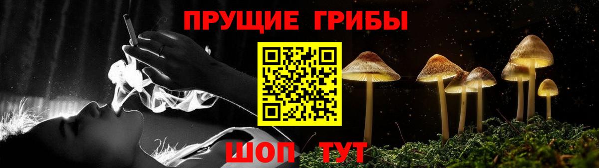 Псилоцибиновые грибы мицелий  Вход с VPN  Каспийск  Галлюциногенные грибы прущие грибы 